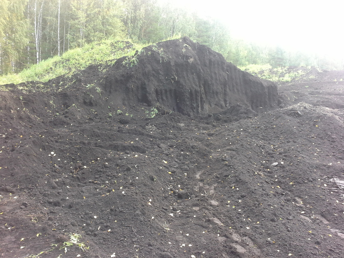 Торф низинный добывается в Дмитровском районе